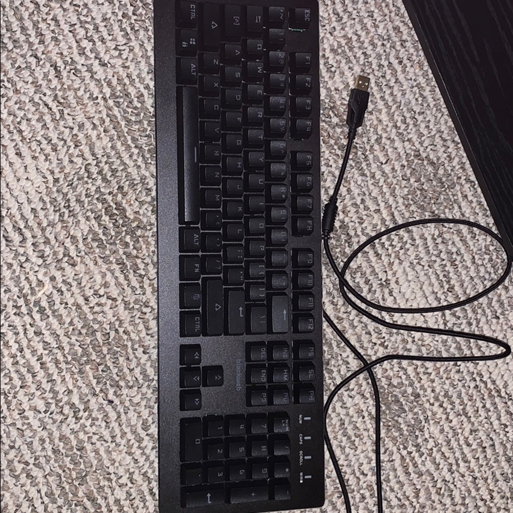 It is a gaming keyboard with usb plug in!